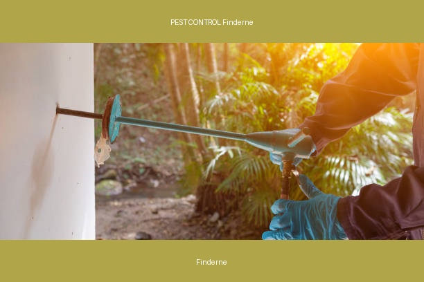 PEST CONTROL Finderne